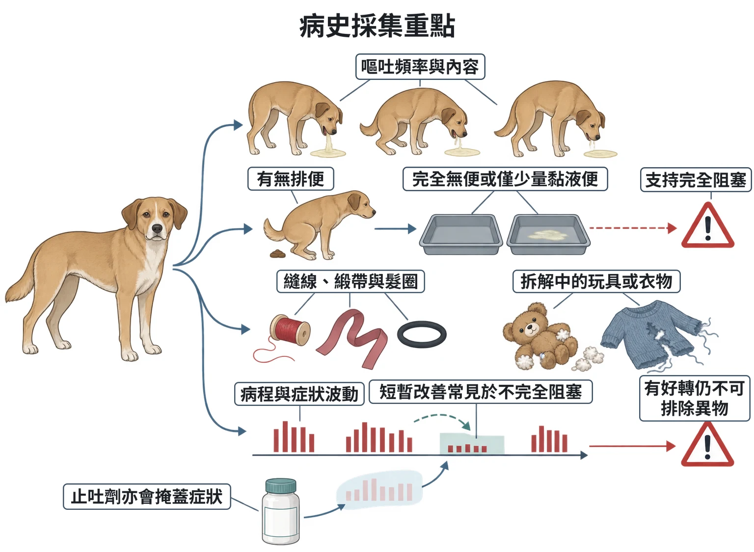 病史採集重點教學插圖