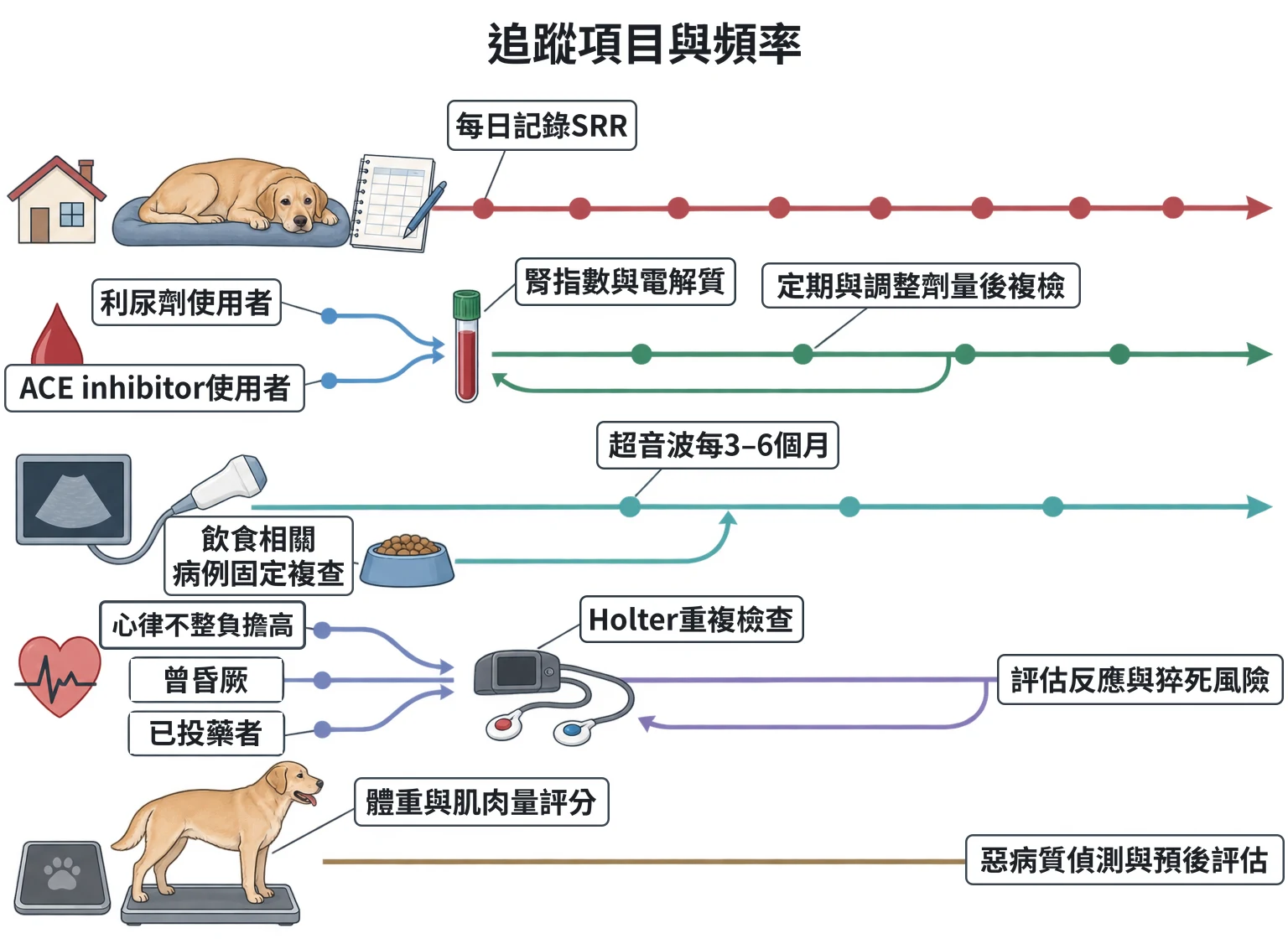 追蹤項目與頻率教學插圖