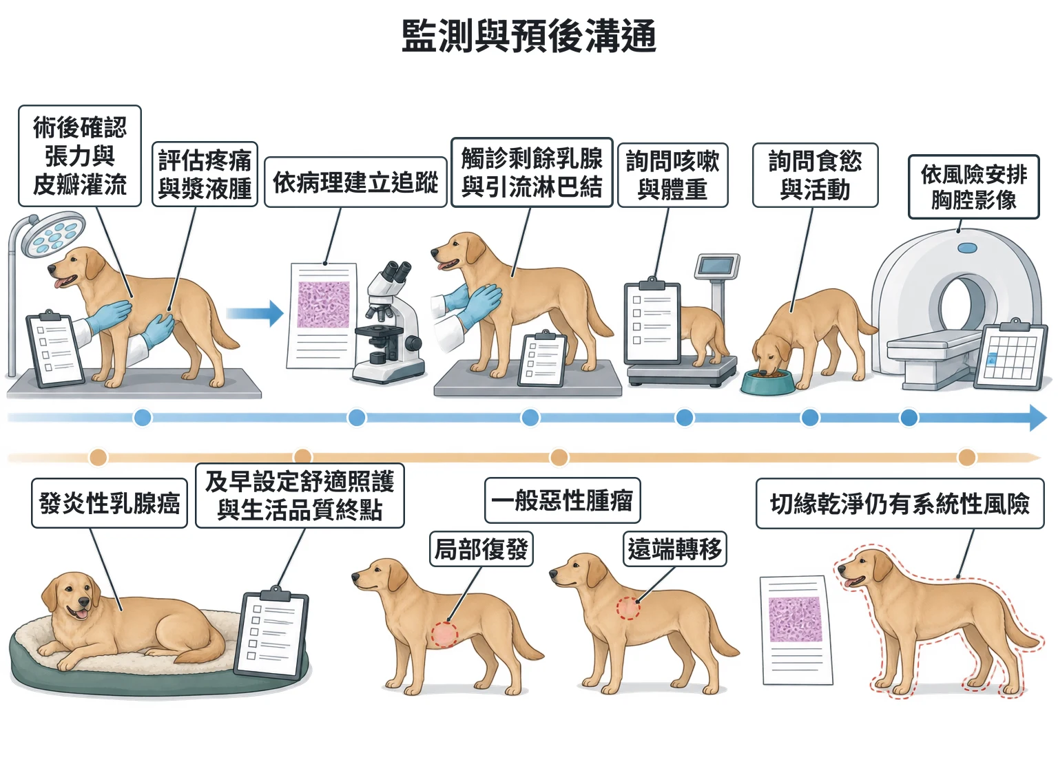 監測與預後溝通教學插圖