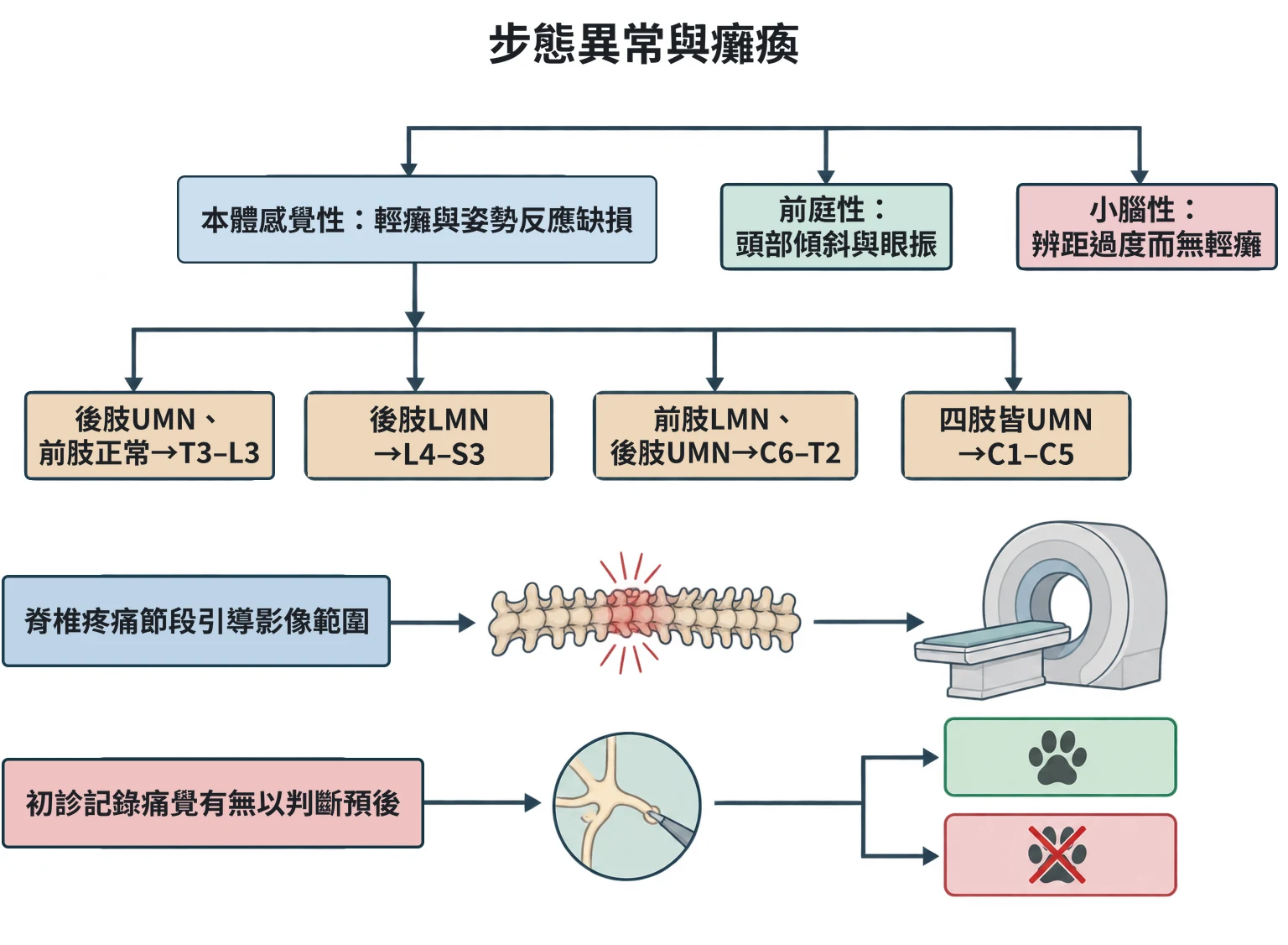 步態異常與癱瘓教學插圖