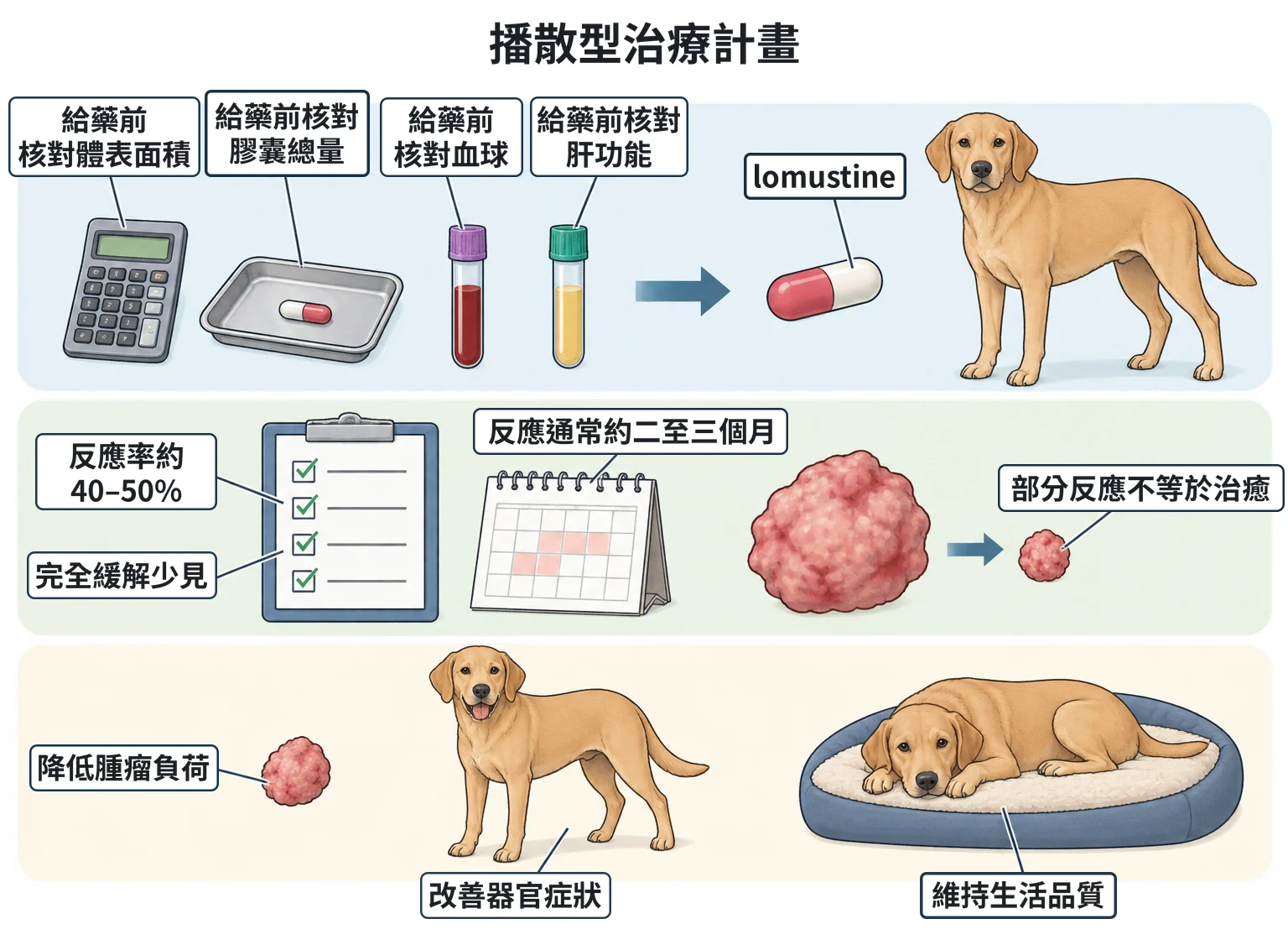 播散型治療計畫教學插圖