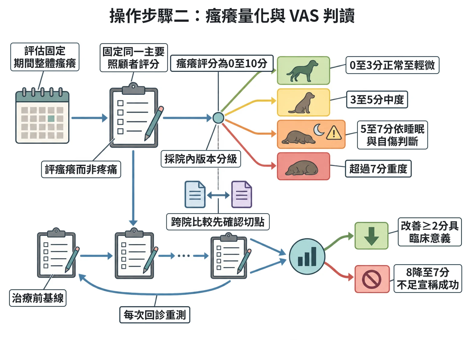 操作步驟二:瘙癢量化與 VAS 判讀教學插圖