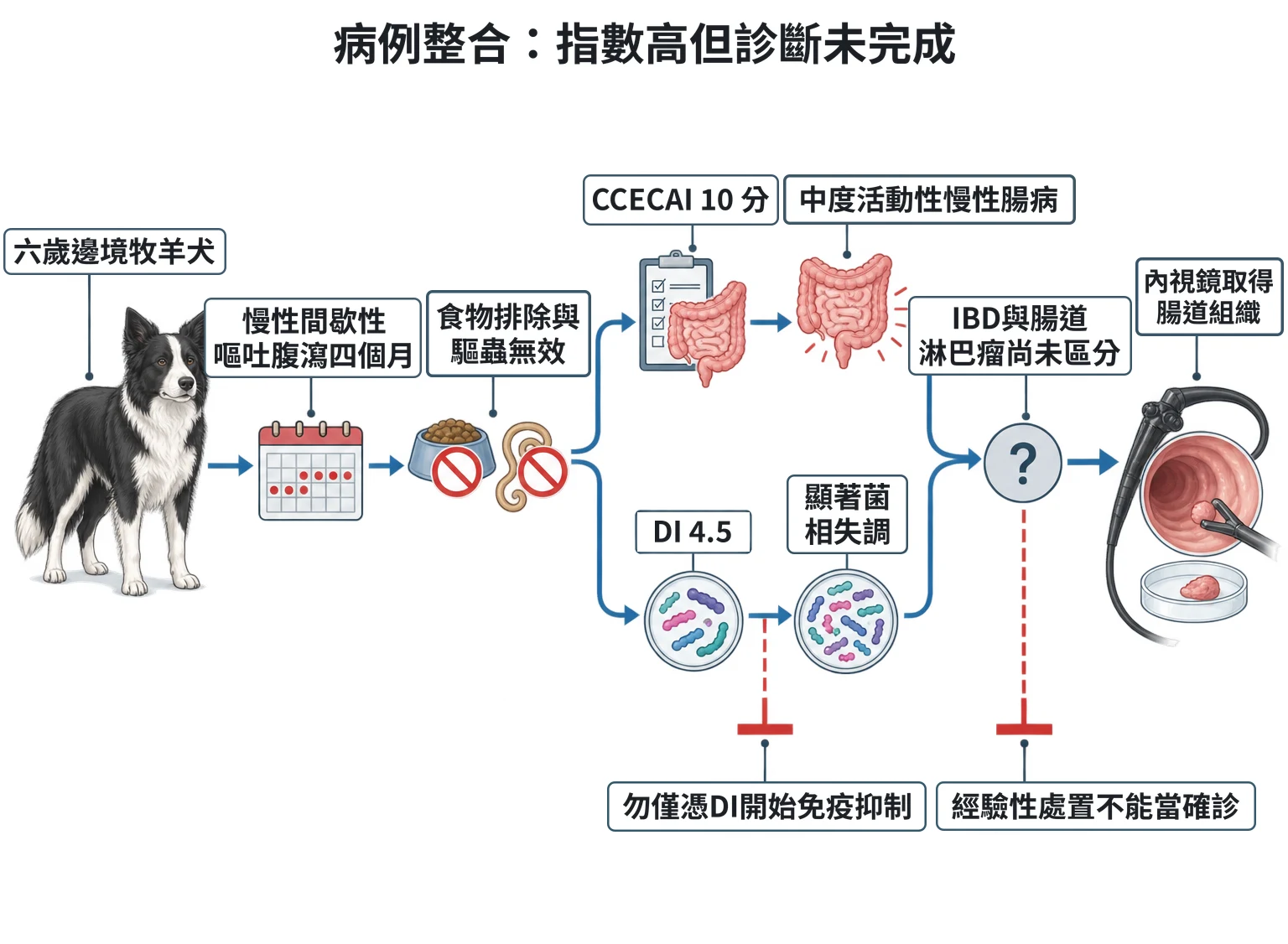 病例整合:指數高但診斷未完成教學插圖