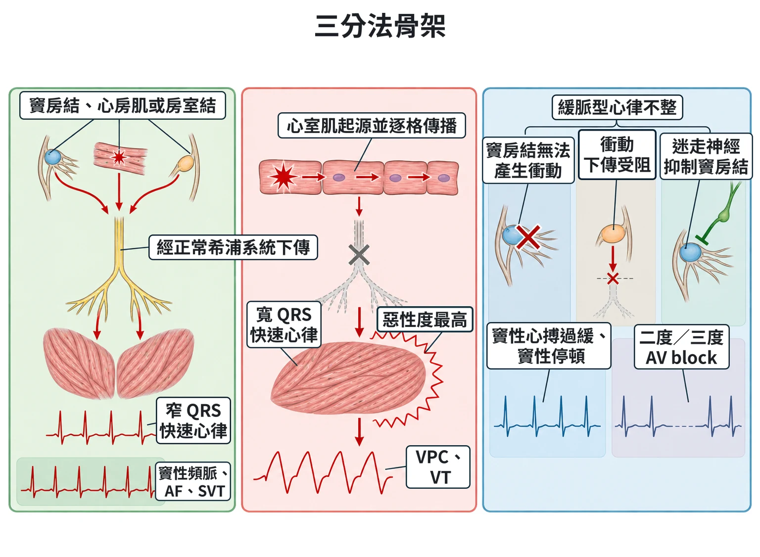 三分法骨架教學插圖