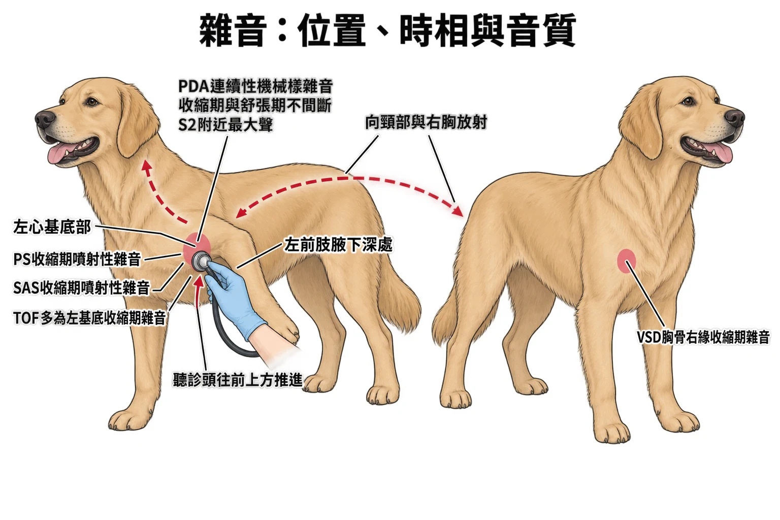 雜音:位置、時相與音質教學插圖