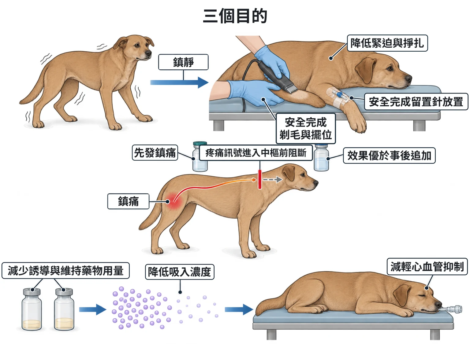 三個目的教學插圖