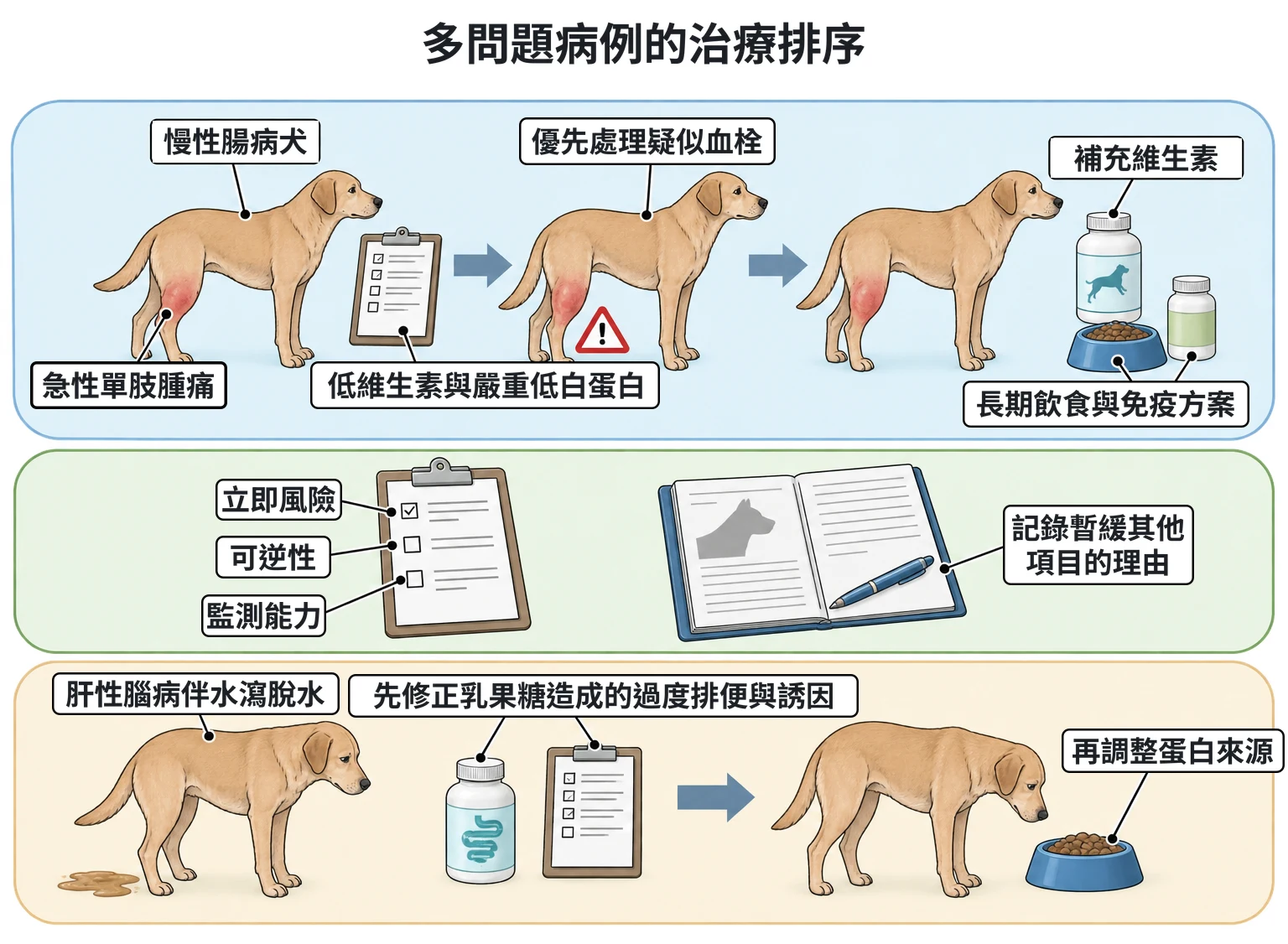 多問題病例的治療排序教學插圖