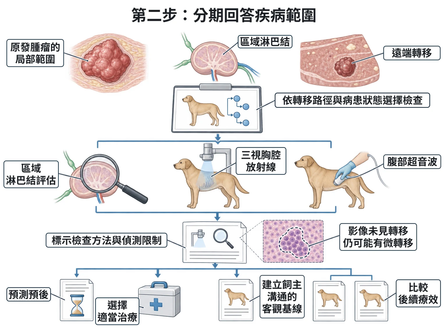 第二步:分期回答疾病範圍教學插圖