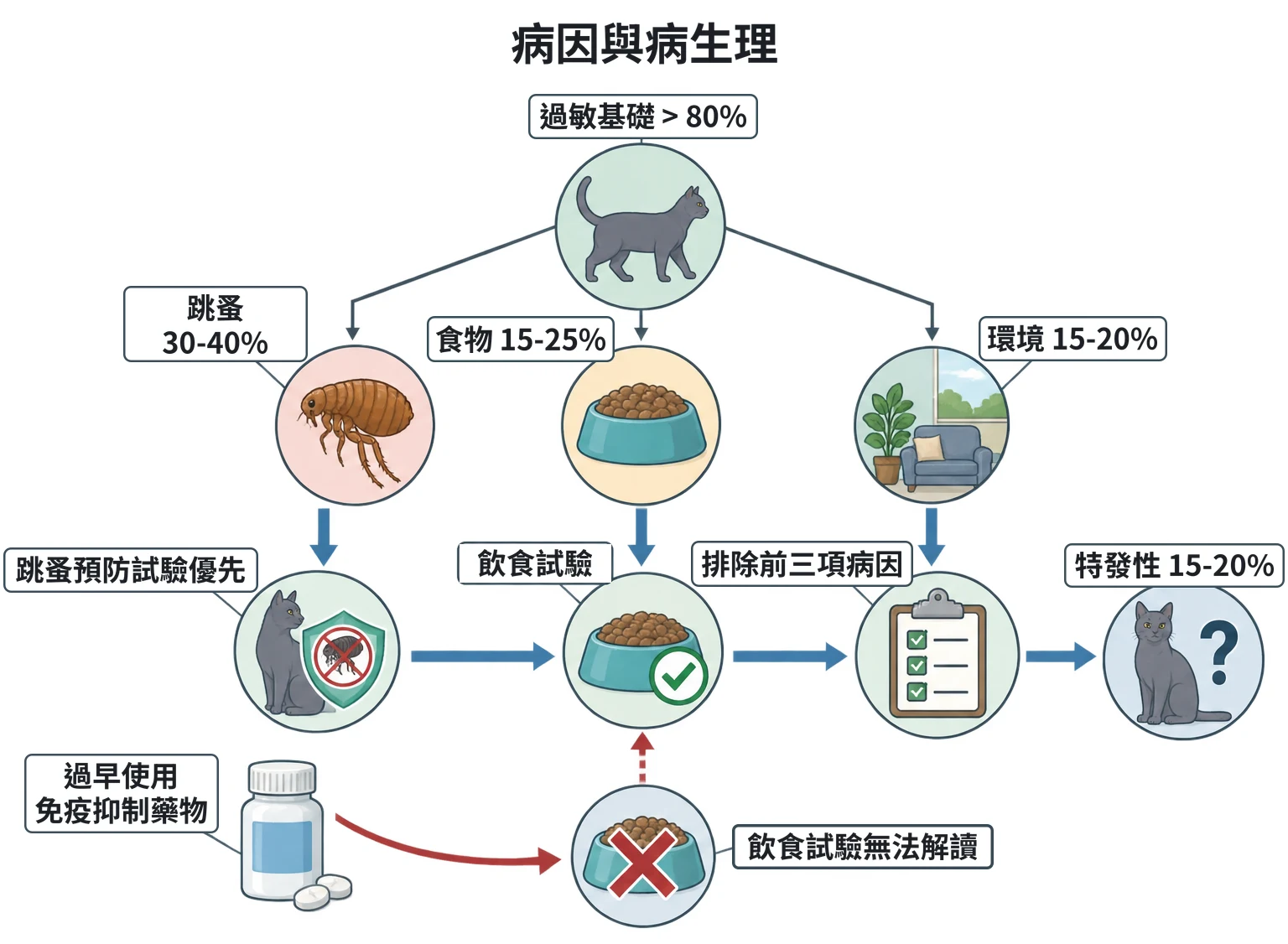病因與病生理教學插圖