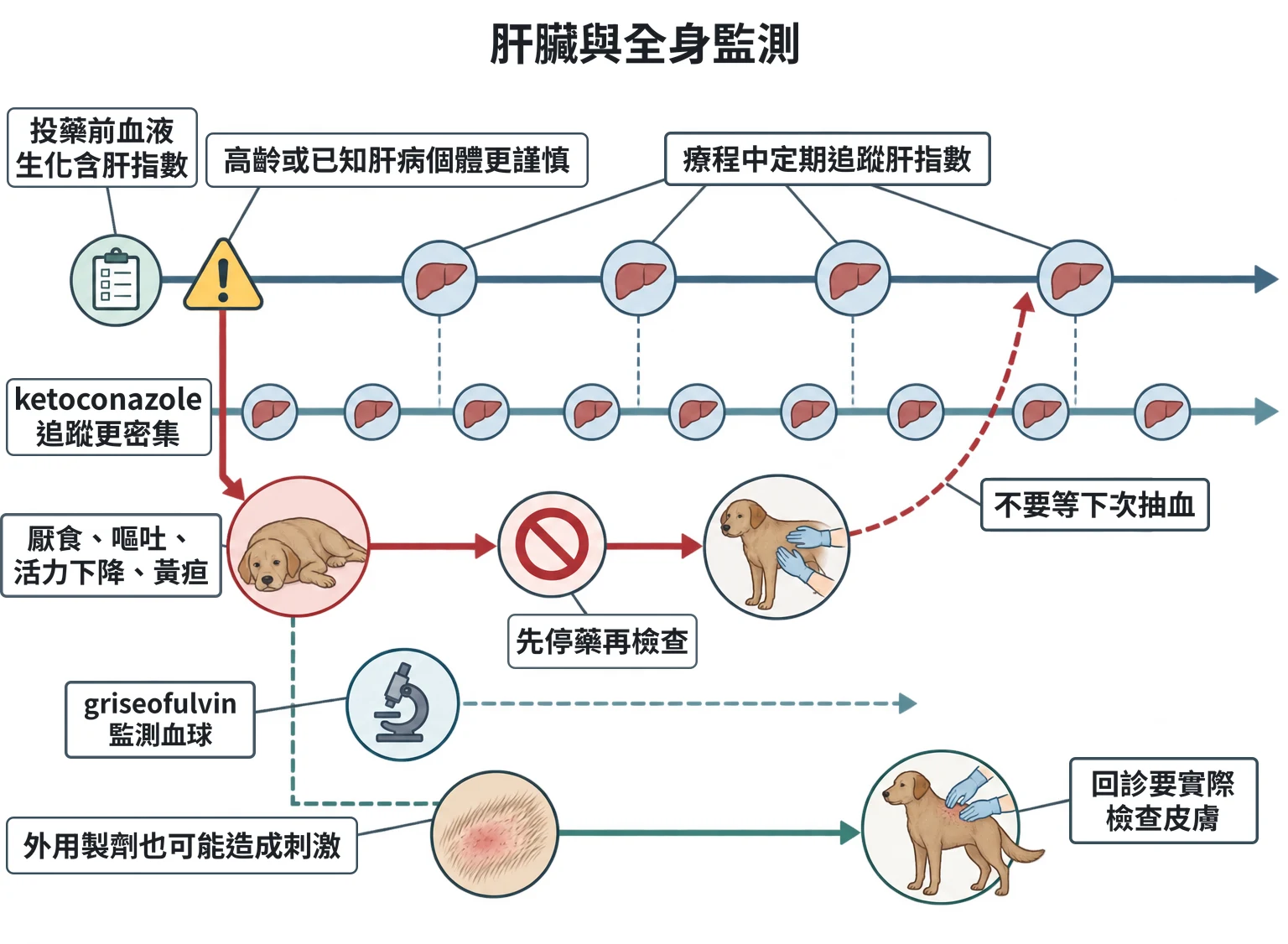 肝臟與全身監測教學插圖