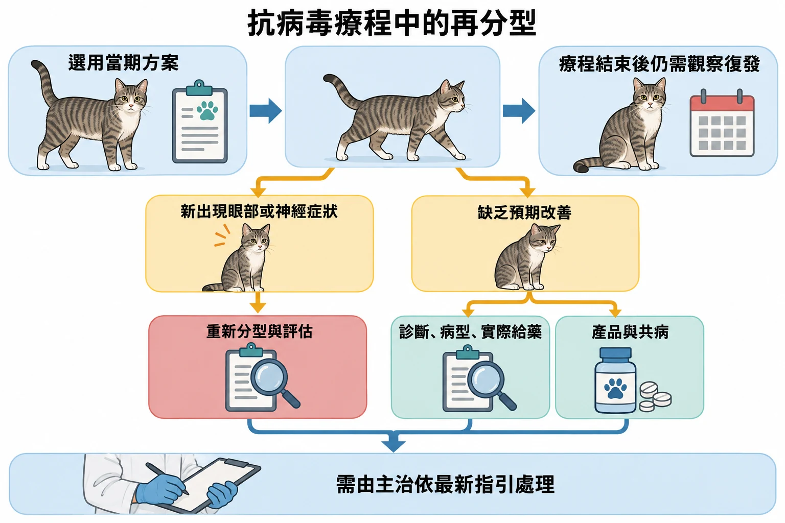 抗病毒療程中的再分型教學插圖