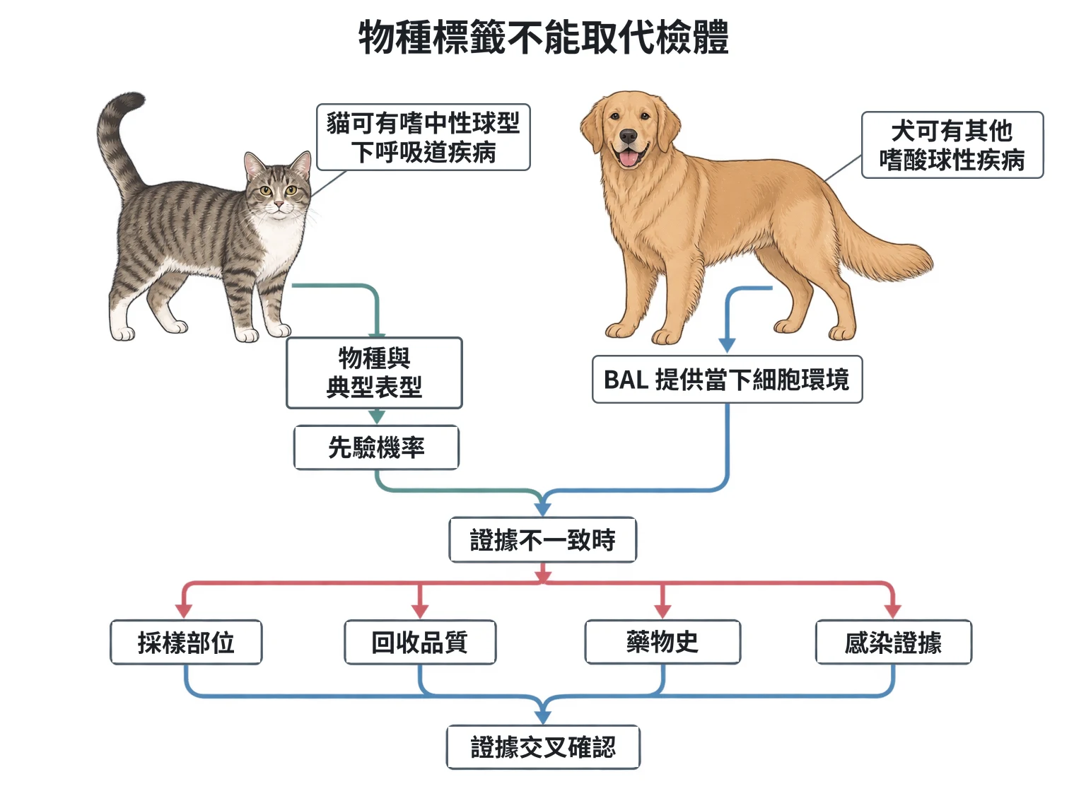 物種標籤不能取代檢體教學插圖