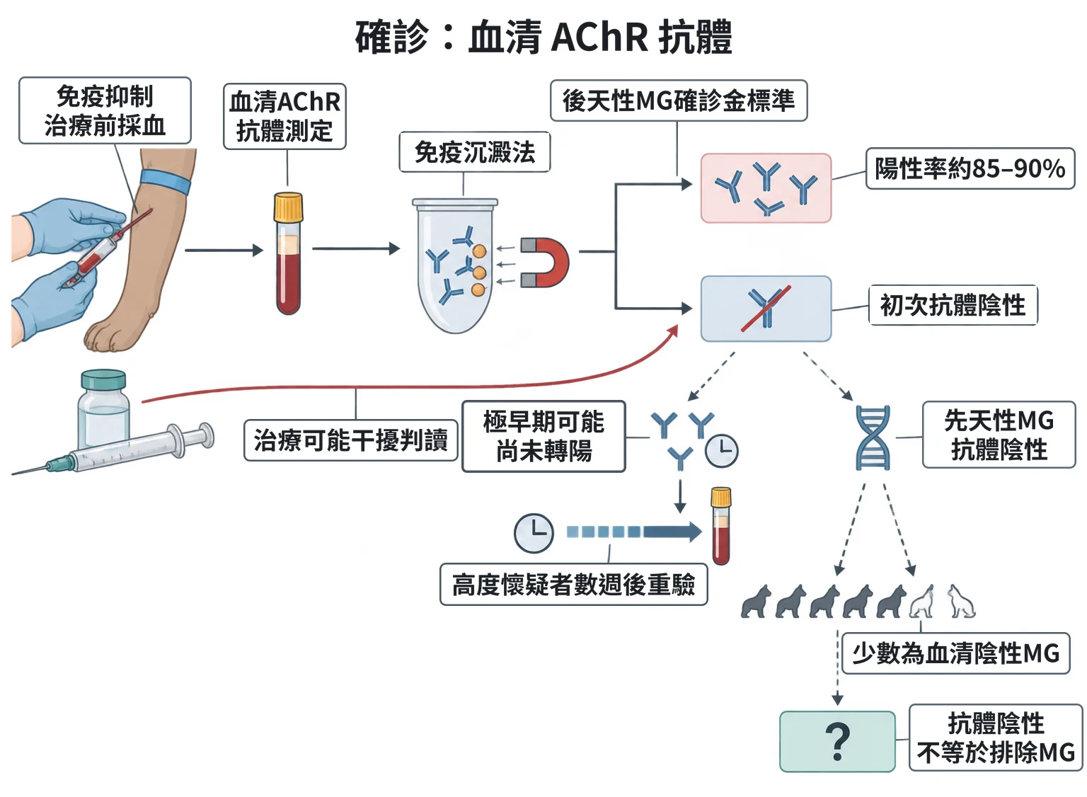 確診:血清 AChR 抗體教學插圖