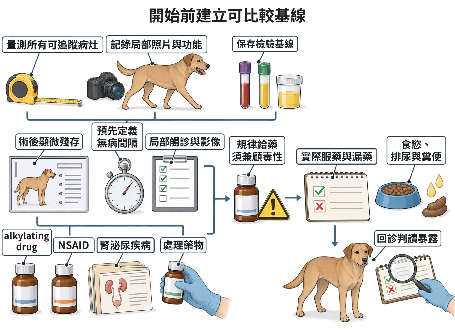 開始前建立可比較基線教學插圖