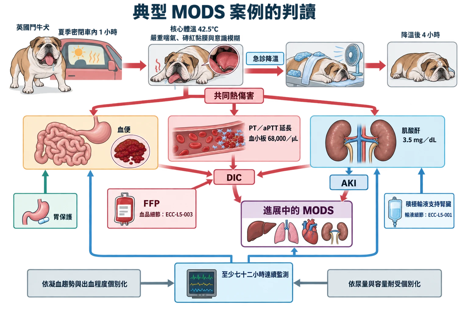 典型 MODS 案例的判讀教學插圖