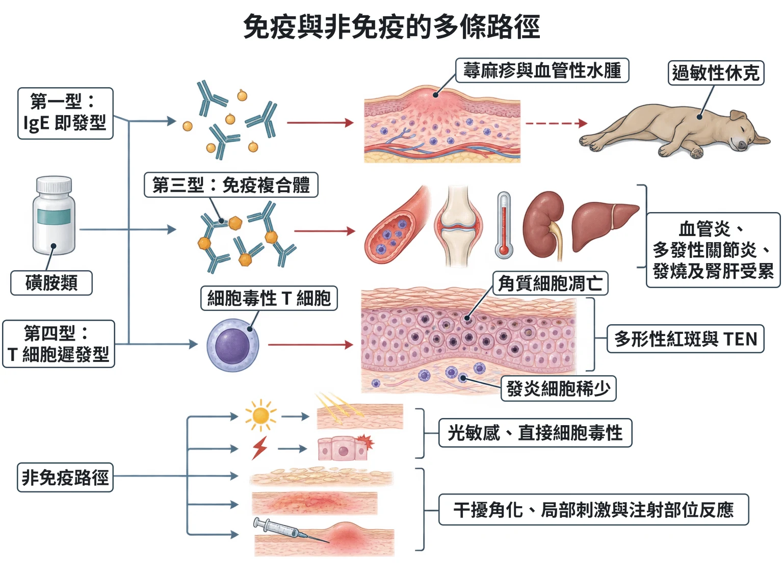 免疫與非免疫的多條路徑教學插圖