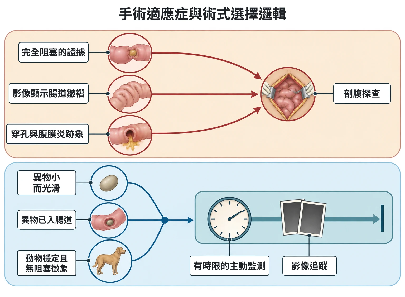手術適應症與術式選擇邏輯教學插圖