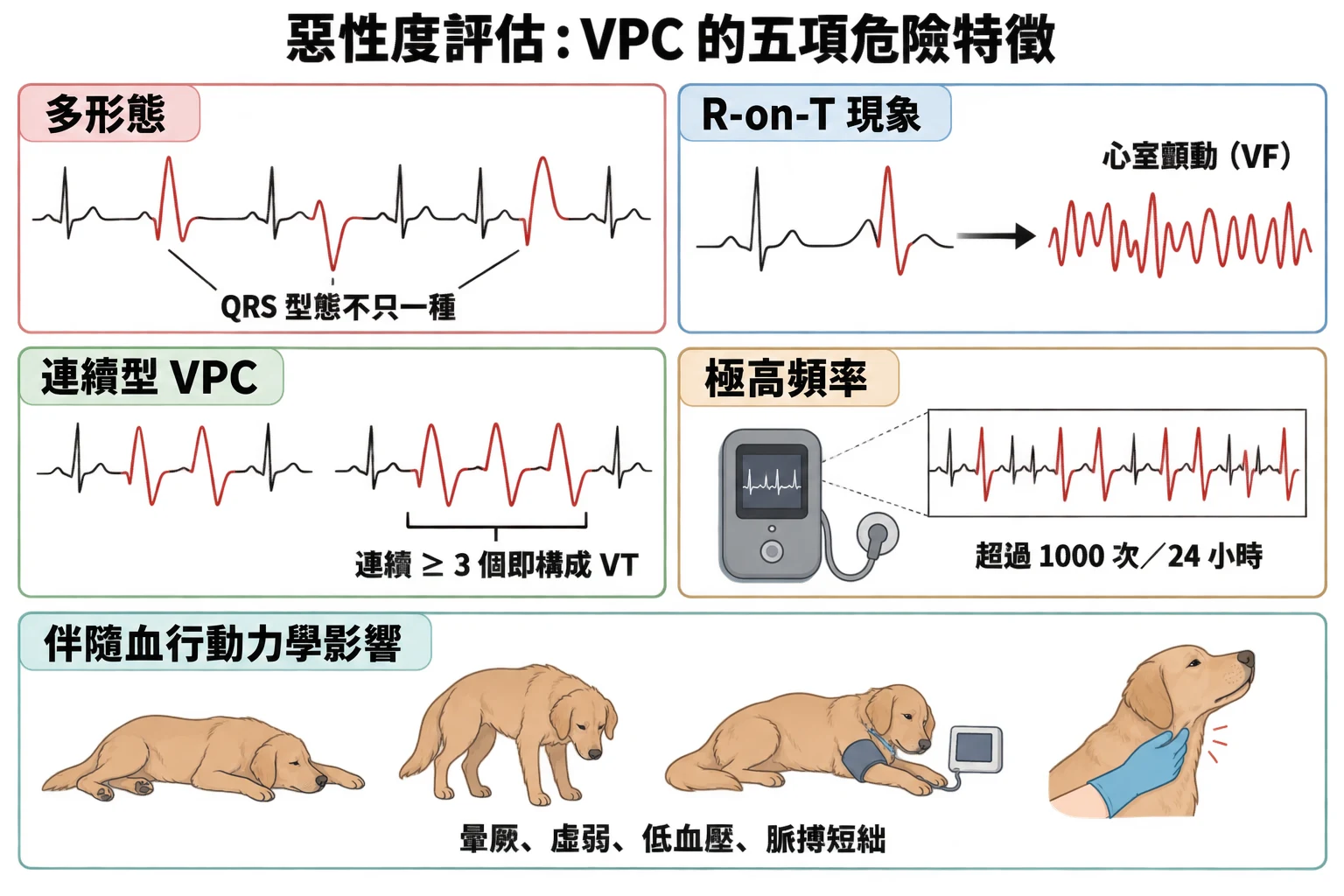 惡性度評估:VPC 的五項危險特徵教學插圖