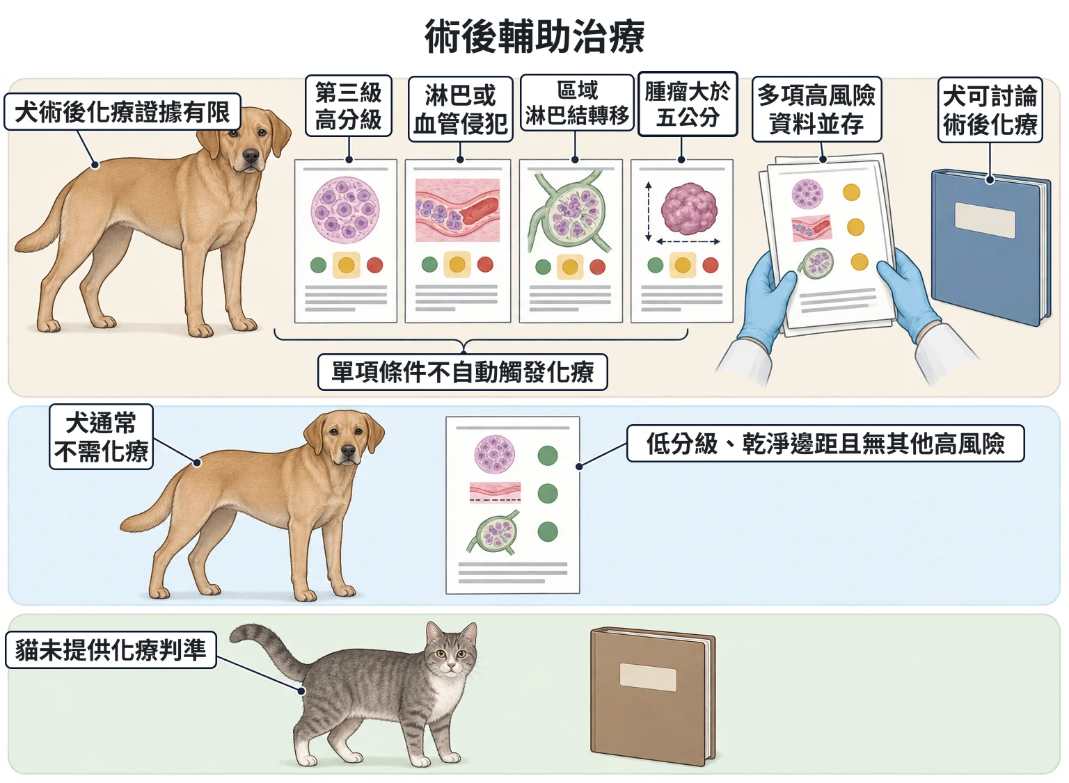 術後輔助治療教學插圖