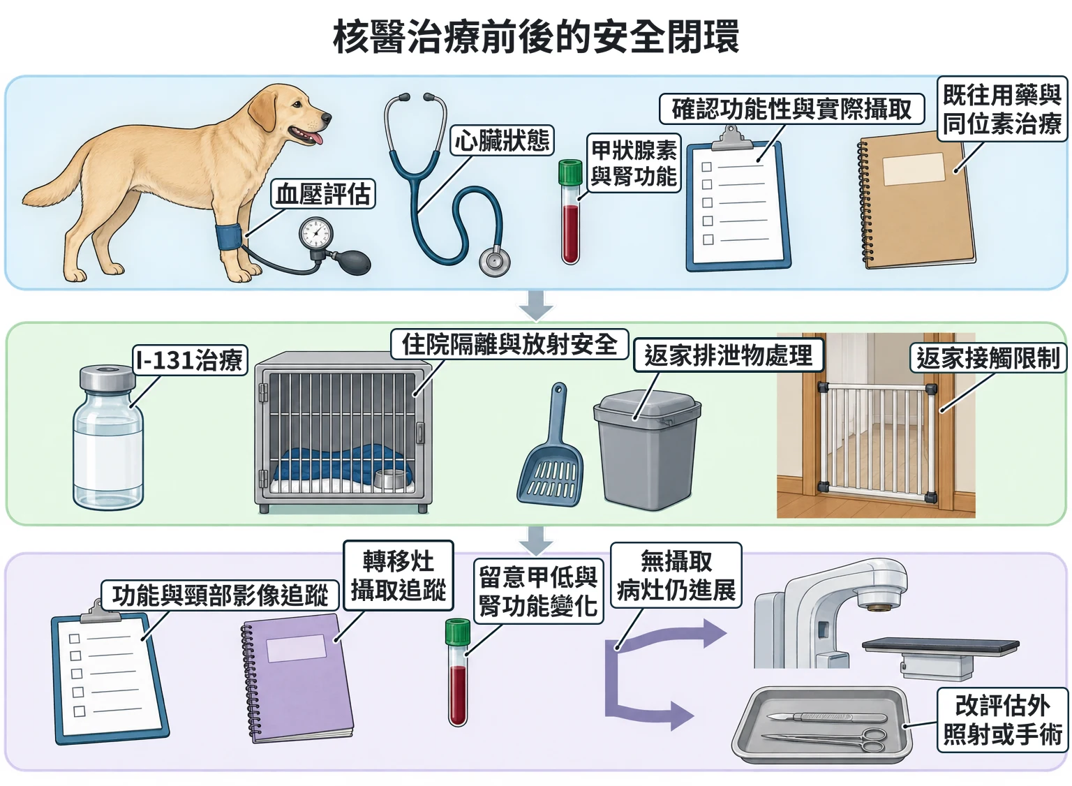 核醫治療前後的安全閉環教學插圖