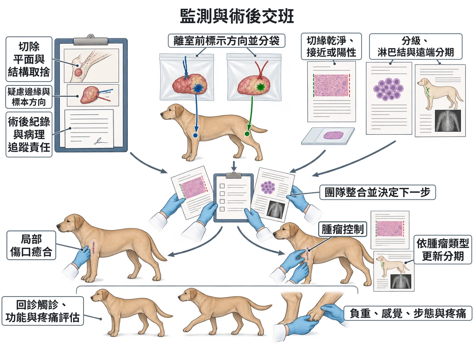 監測與術後交班教學插圖
