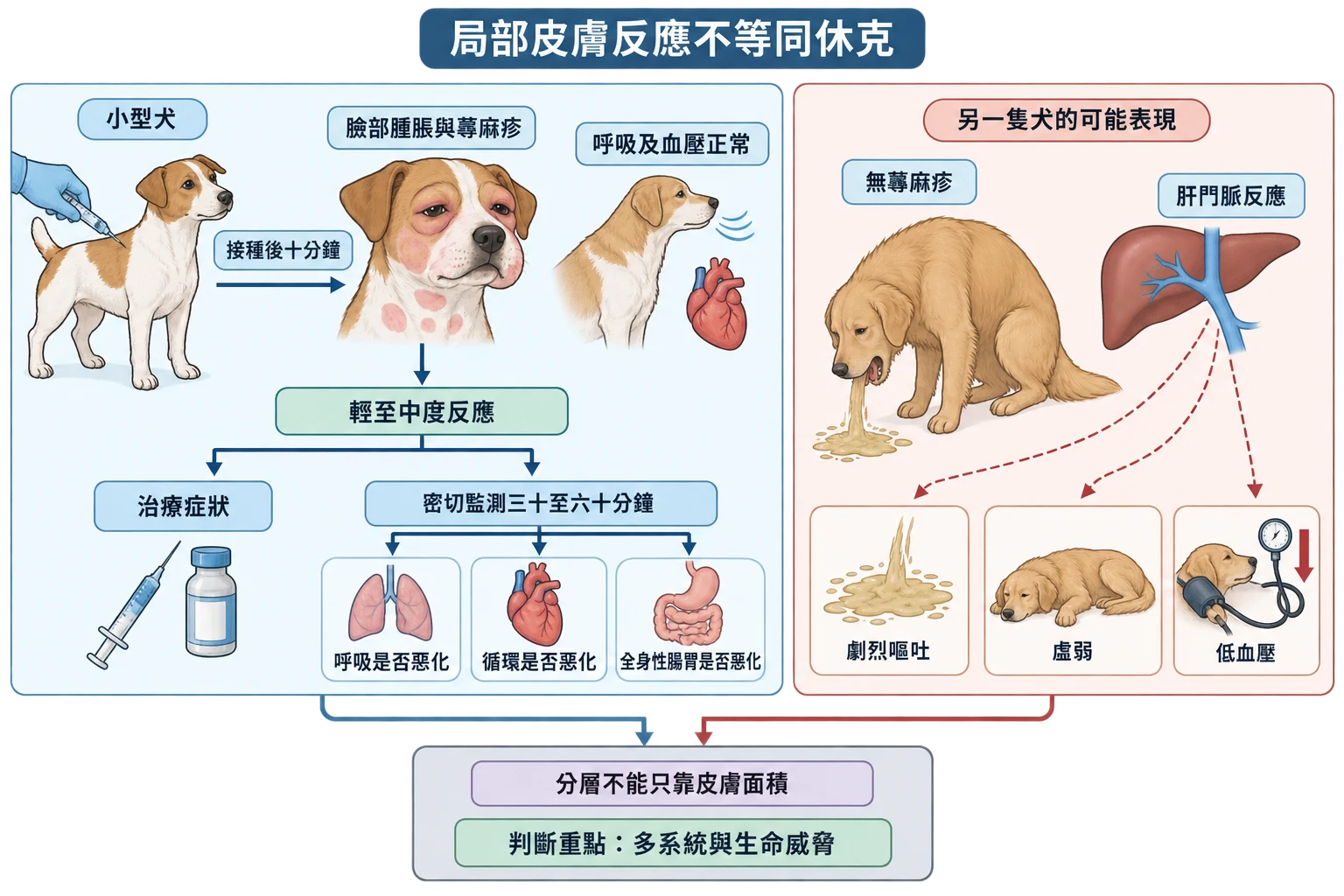 局部皮膚反應不等同休克教學插圖
