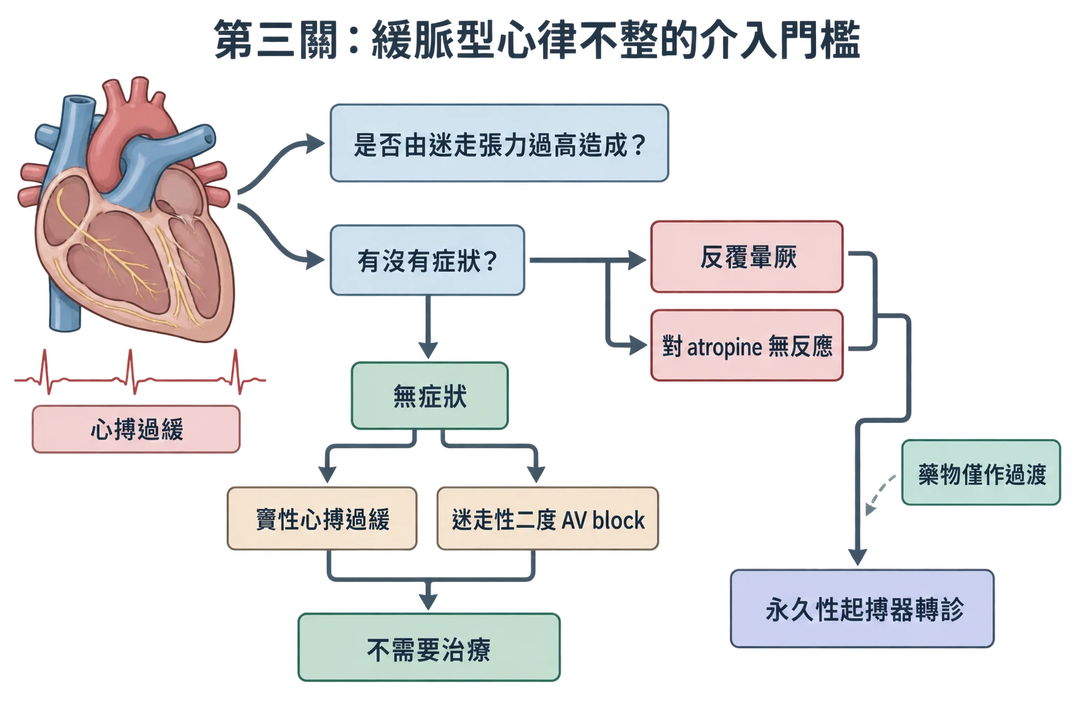 第三關:緩脈型心律不整的介入門檻教學插圖