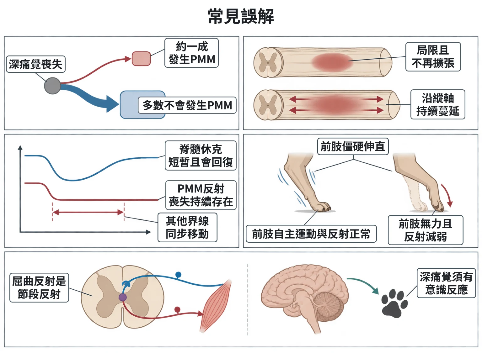常見誤解教學插圖
