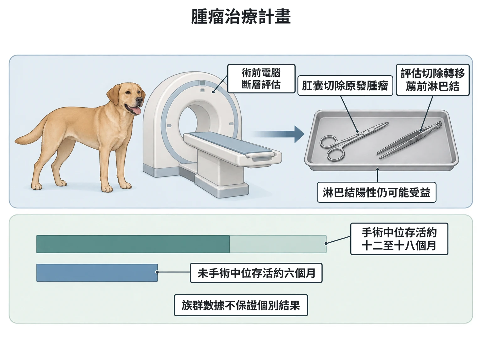 腫瘤治療計畫教學插圖