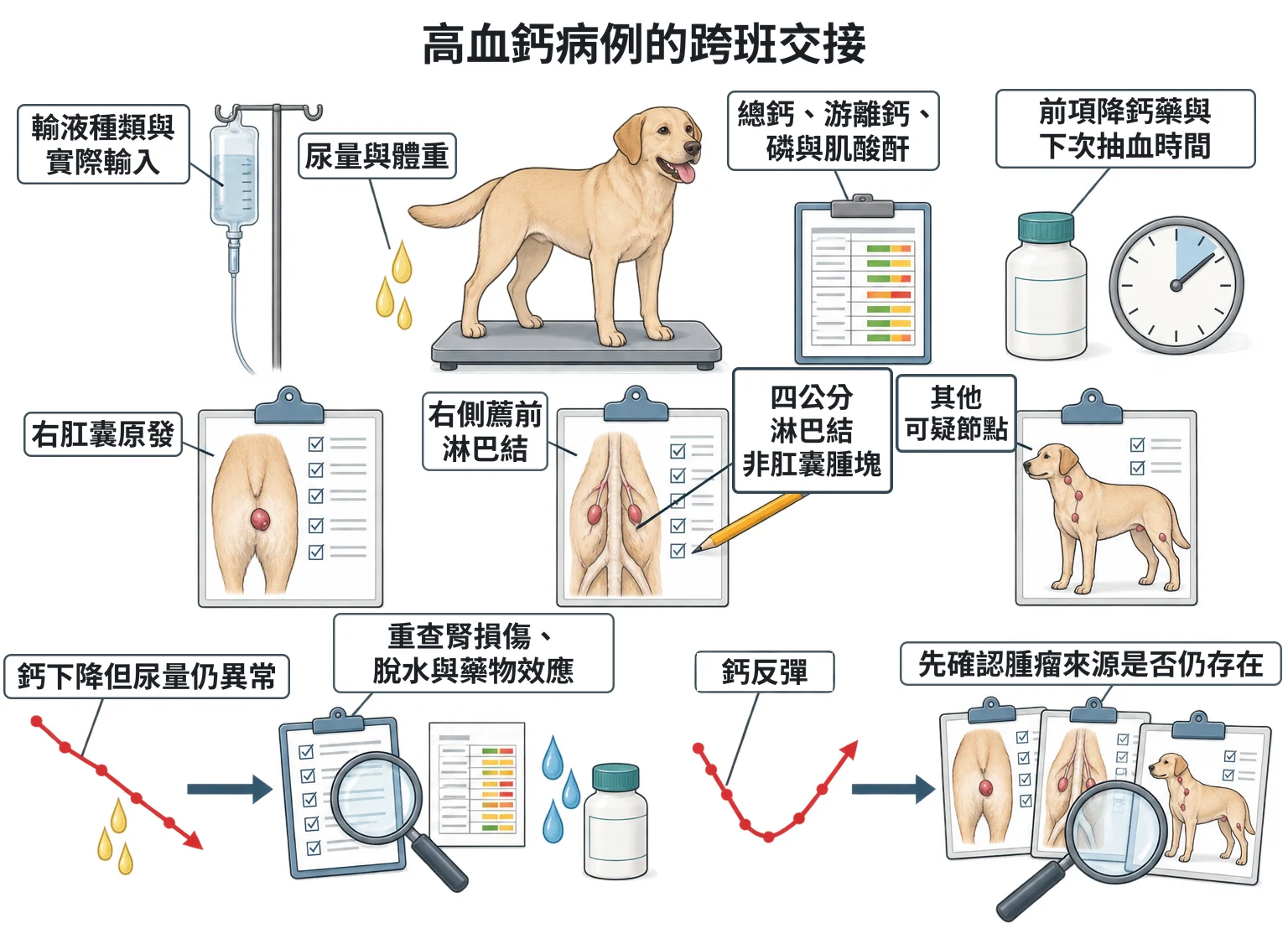 高血鈣病例的跨班交接教學插圖