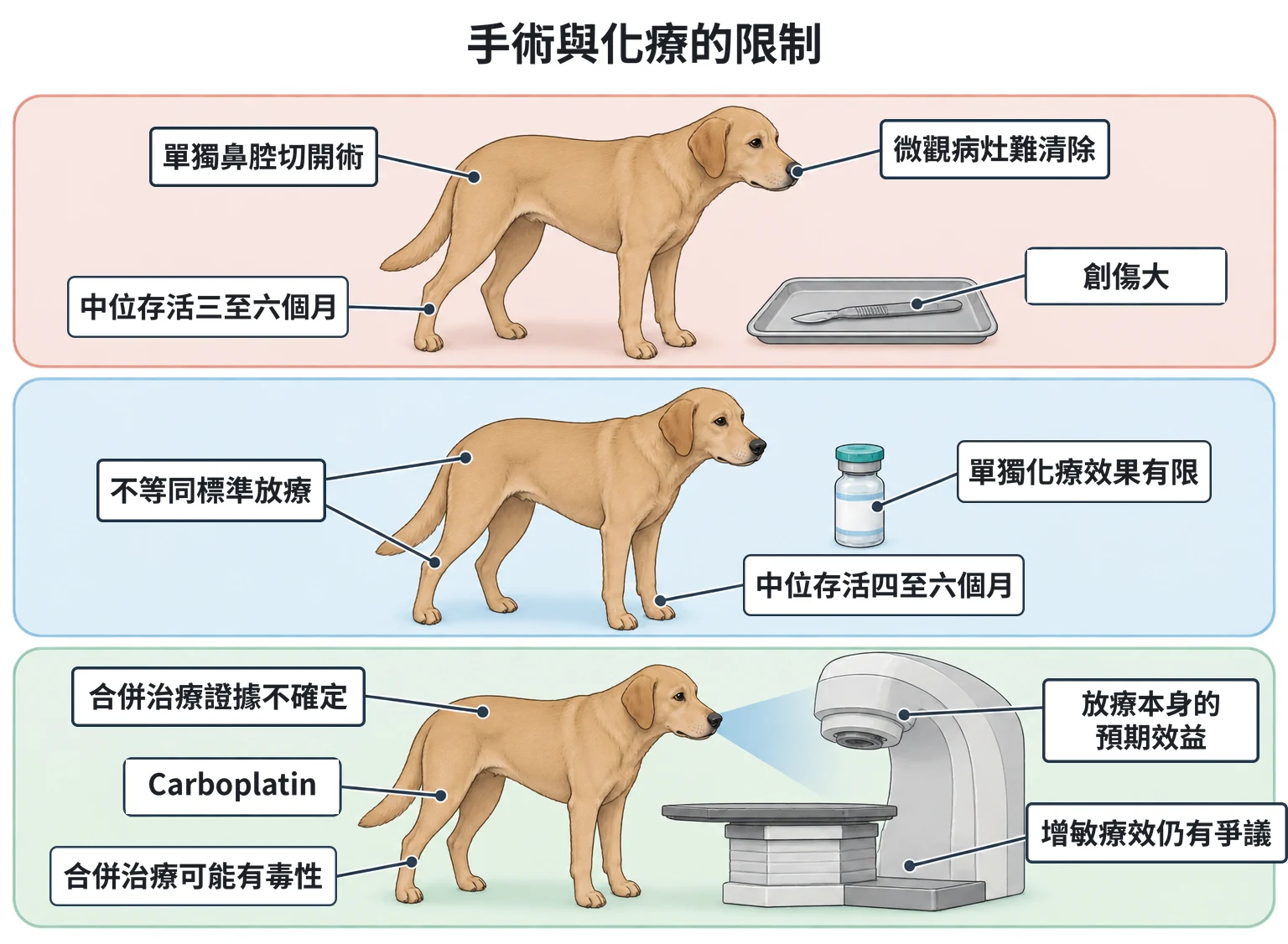 手術與化療的限制教學插圖