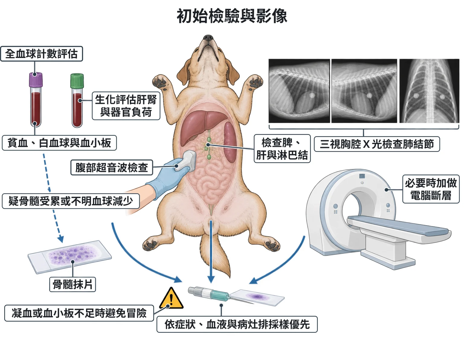 初始檢驗與影像教學插圖