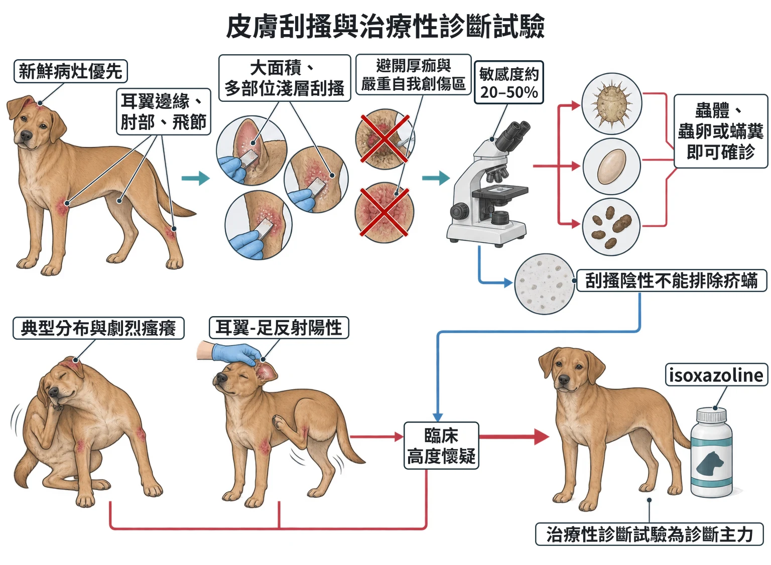 皮膚刮搔與治療性診斷試驗教學插圖