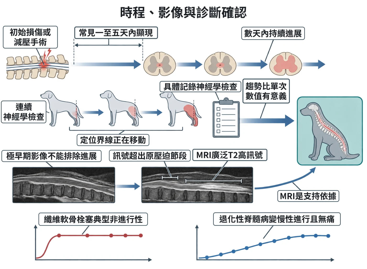 時程、影像與診斷確認教學插圖