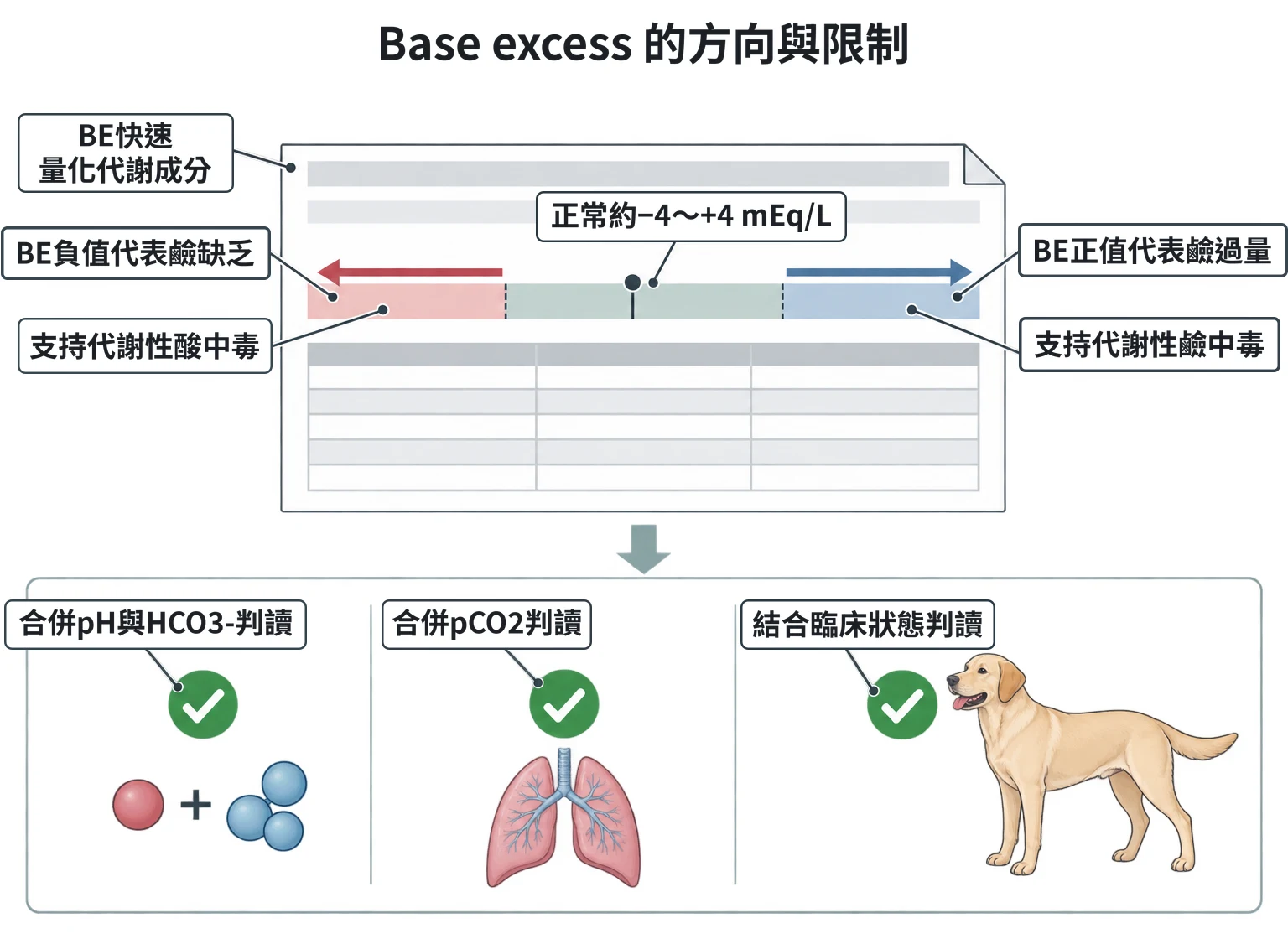 Base excess 的方向與限制教學插圖