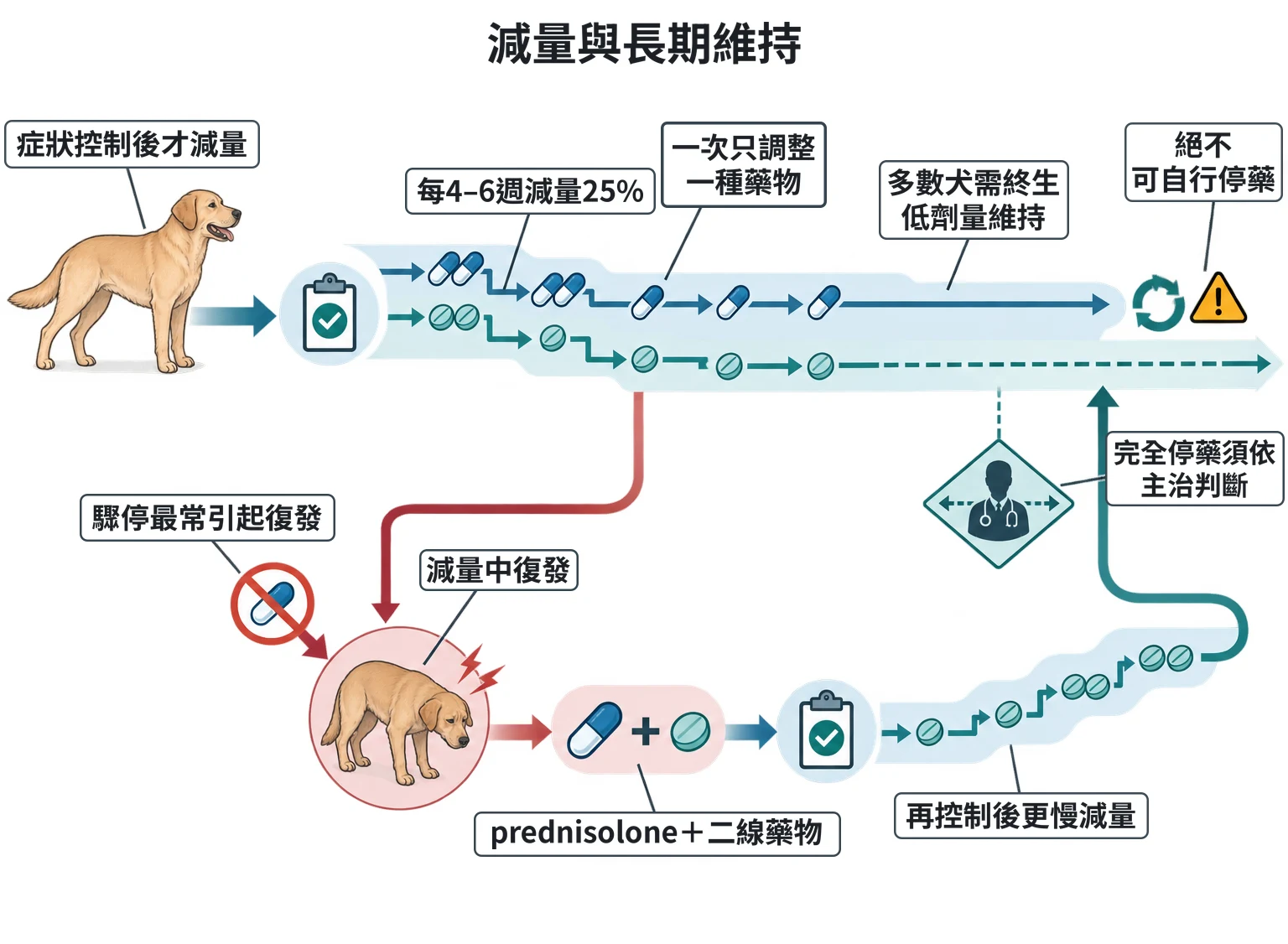 減量與長期維持教學插圖