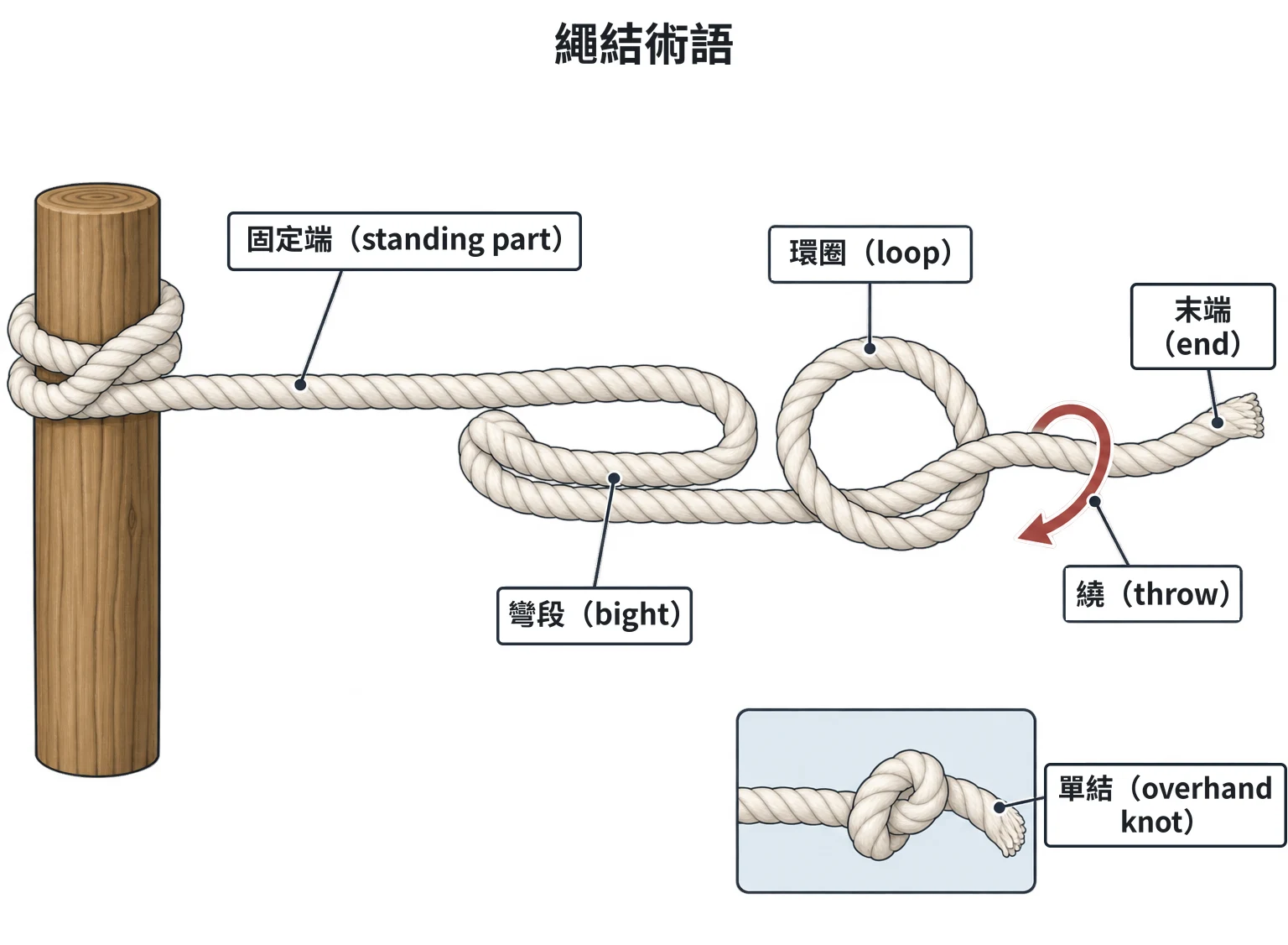 繩結術語示意圖：一條白色棉繩，左端綁在木樁上是固定端，中段折成不交叉的 U 形是彎段，再往右繞成交叉的完整圓圈是環圈，右端可自由移動的是末端，箭頭表示末端繞過繩子另一段；小圖為一個單結