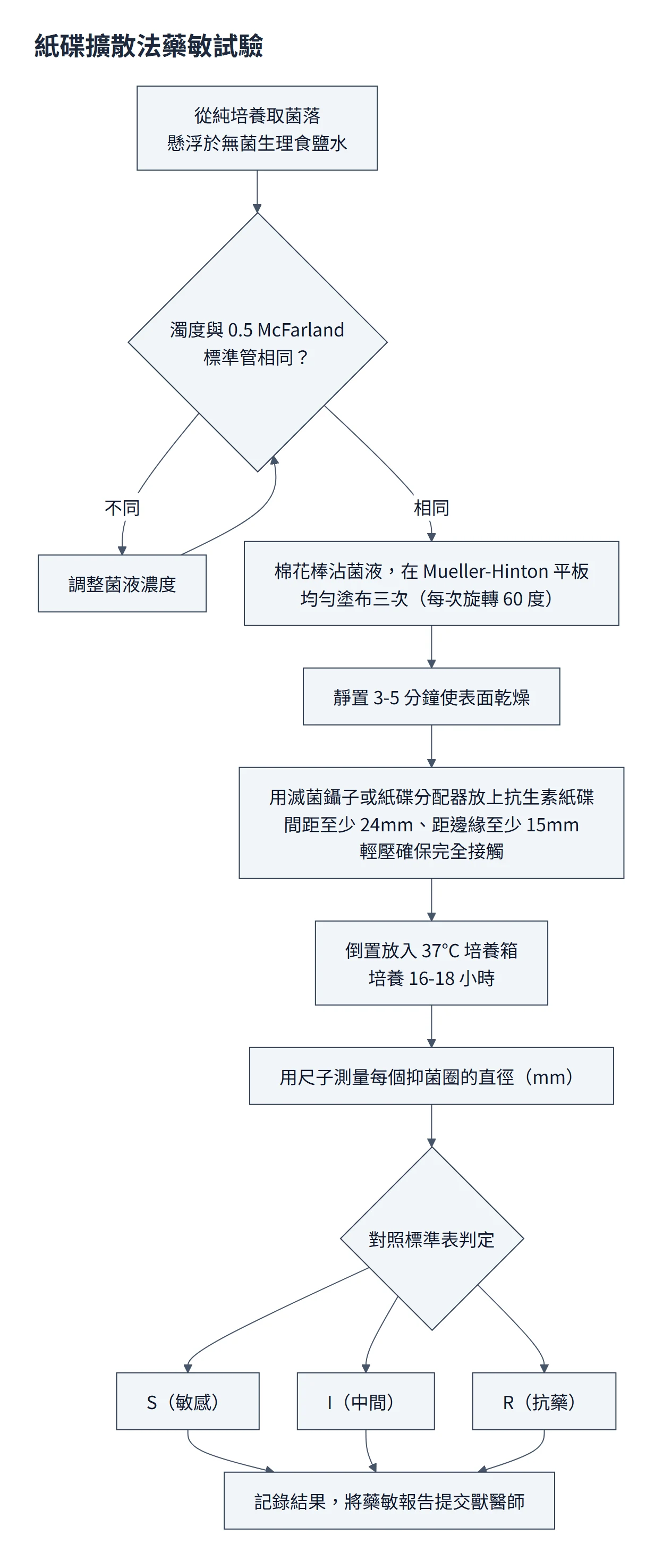 藥敏試驗流程圖：純培養菌落懸浮於無菌生理食鹽水並調整到 0.5 McFarland 濁度；棉花棒在 Mueller-Hinton 平板均勻塗布三次、每次旋轉 60 度，靜置 3-5 分鐘乾燥；放上抗生素紙碟，間距至少 24mm、距邊緣至少 15mm，輕壓貼合；倒置 37°C 培養 16-18 小時；量每個抑菌圈直徑，對照標準表判定 S、I、R，記錄並提交獸醫師