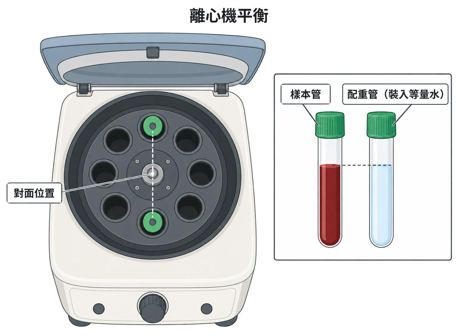 離心機平衡示意圖：俯視打開的離心機，八個管孔中正對面的兩孔各放一支管（由上往下只看得到管蓋），虛線穿過轉頭中心連接兩管；旁邊的放大圖是兩管直立並排，樣本管的血液與配重管的水高度相同