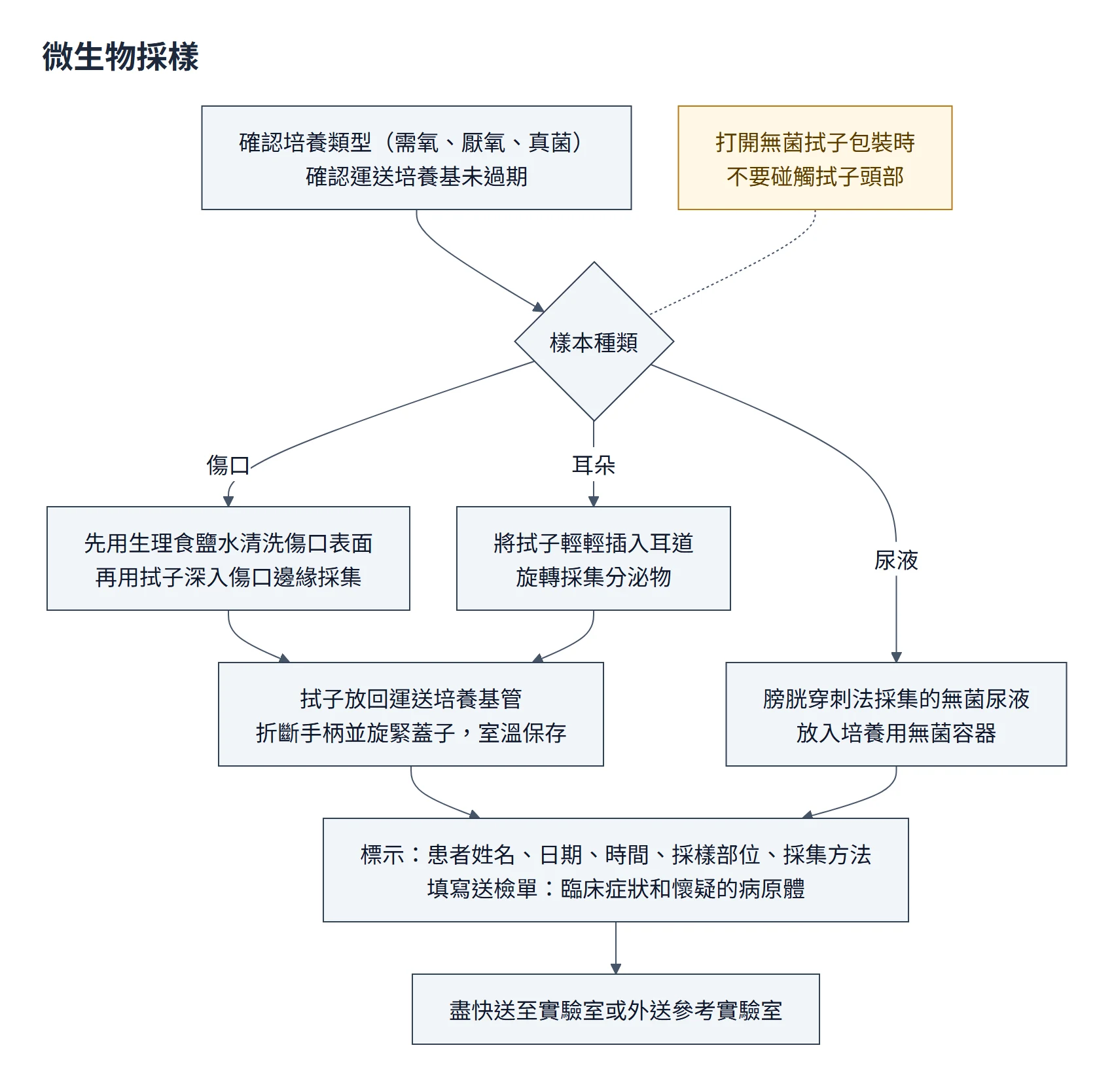 微生物採樣流程圖：確認培養類型與運送培養基效期；傷口先用生理食鹽水清洗表面再深入傷口邊緣採集，耳朵輕插耳道旋轉採集，兩者都不碰觸拭子頭部，拭子放回運送培養基管、折斷手柄旋緊蓋子並室溫保存；尿液培養用膀胱穿刺採集的無菌尿液；最後標示樣本、填送檢單並盡快送實驗室
