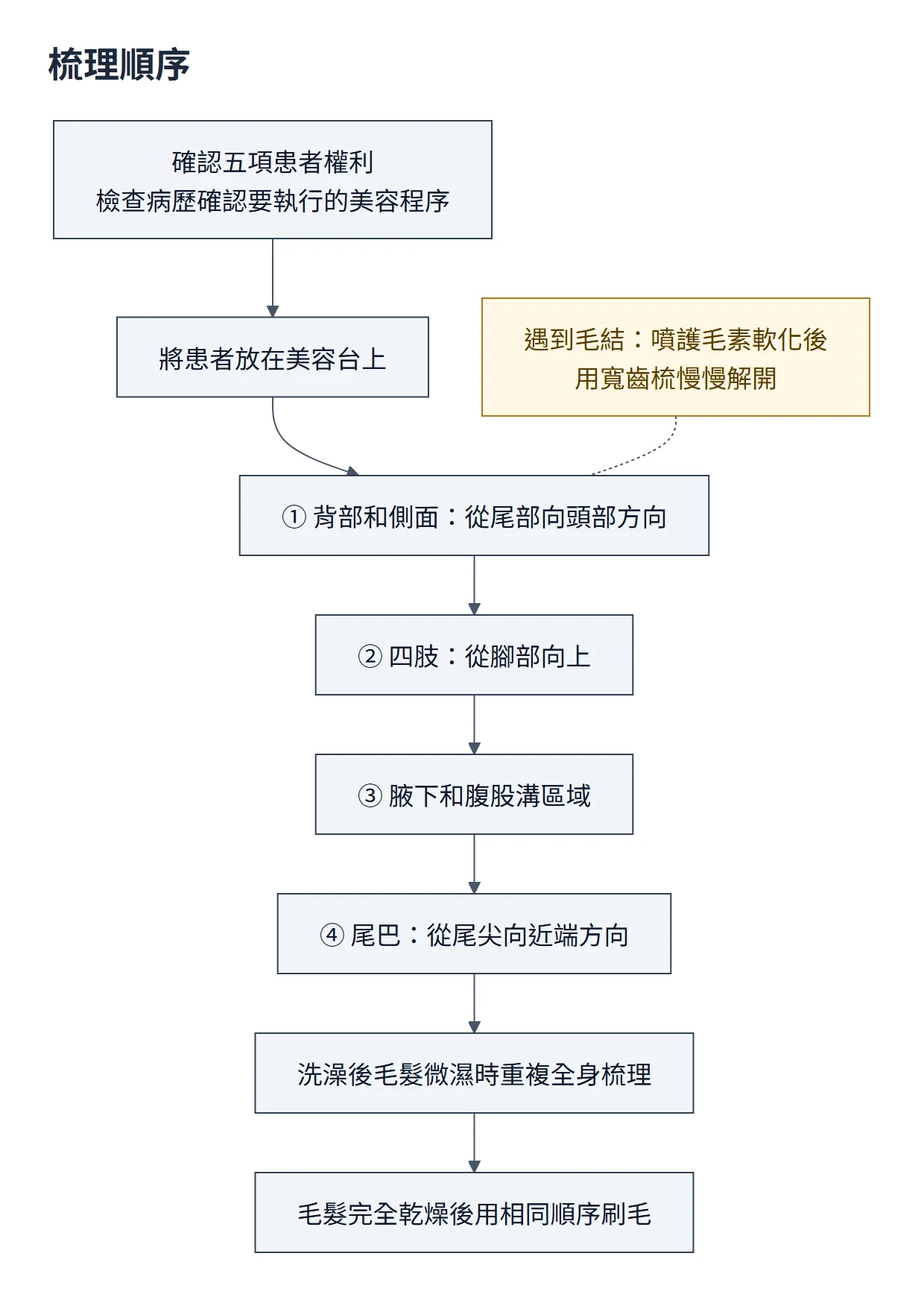 門診美容流程圖：確認五項患者權利與病歷上的美容程序，放上美容台；先梳背部和側面（從尾部向頭部），再從腳部向上梳四肢，接著腋下和腹股溝，最後尾巴從尾尖向近端；毛結先噴護毛素軟化再用寬齒梳解開；洗澡後微濕時重複全身梳理，完全乾燥後依相同順序刷毛