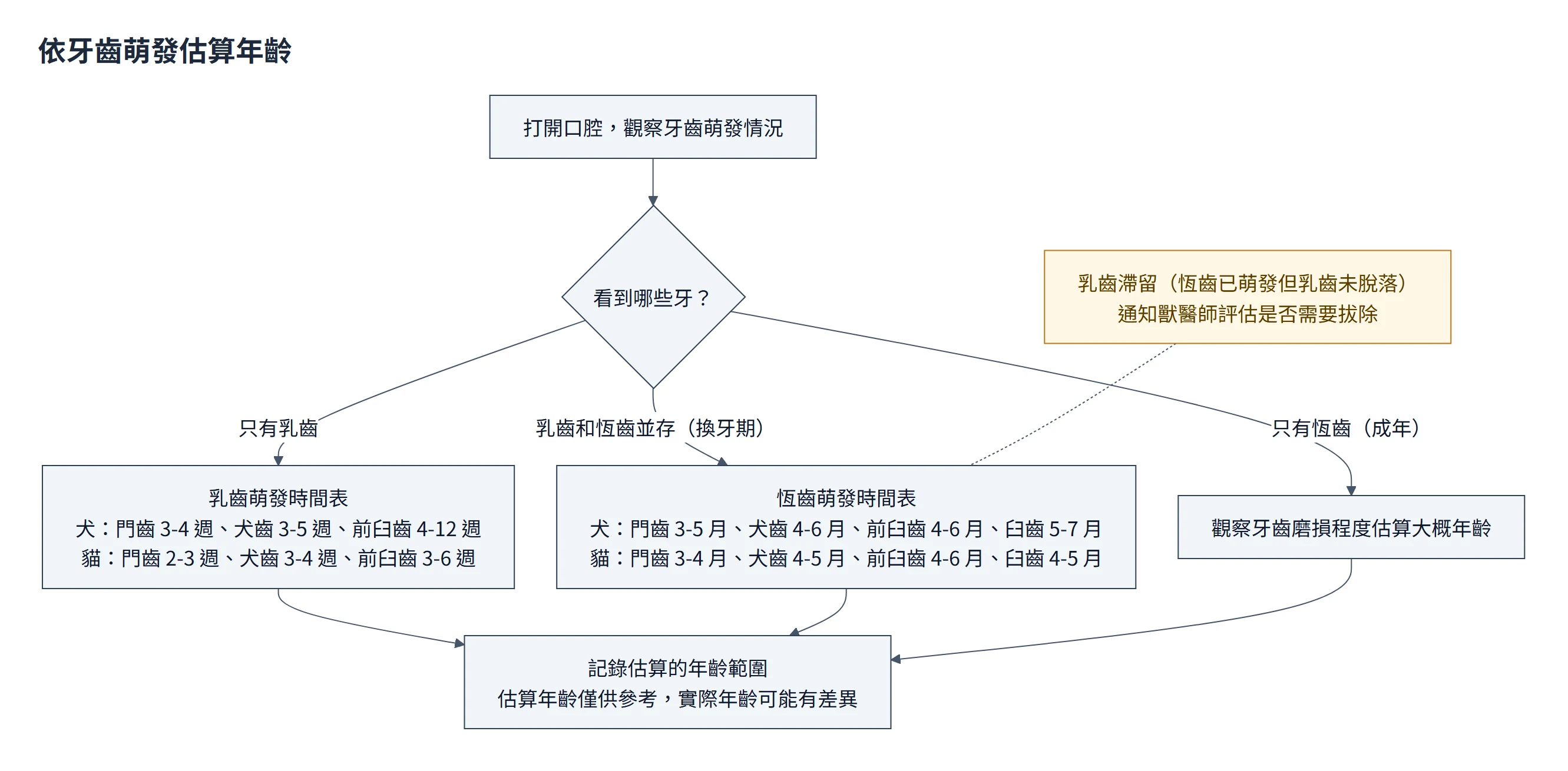 依牙齒萌發估算年齡流程圖：打開口腔觀察，只有乳齒就對照乳齒萌發時間表，乳齒和恆齒並存是換牙期、對照恆齒萌發時間表並注意乳齒滯留，只有恆齒的成年動物看磨損程度；犬與貓的乳齒、恆齒萌發時間照原文列出；最後記錄估算的年齡範圍，估算僅供參考