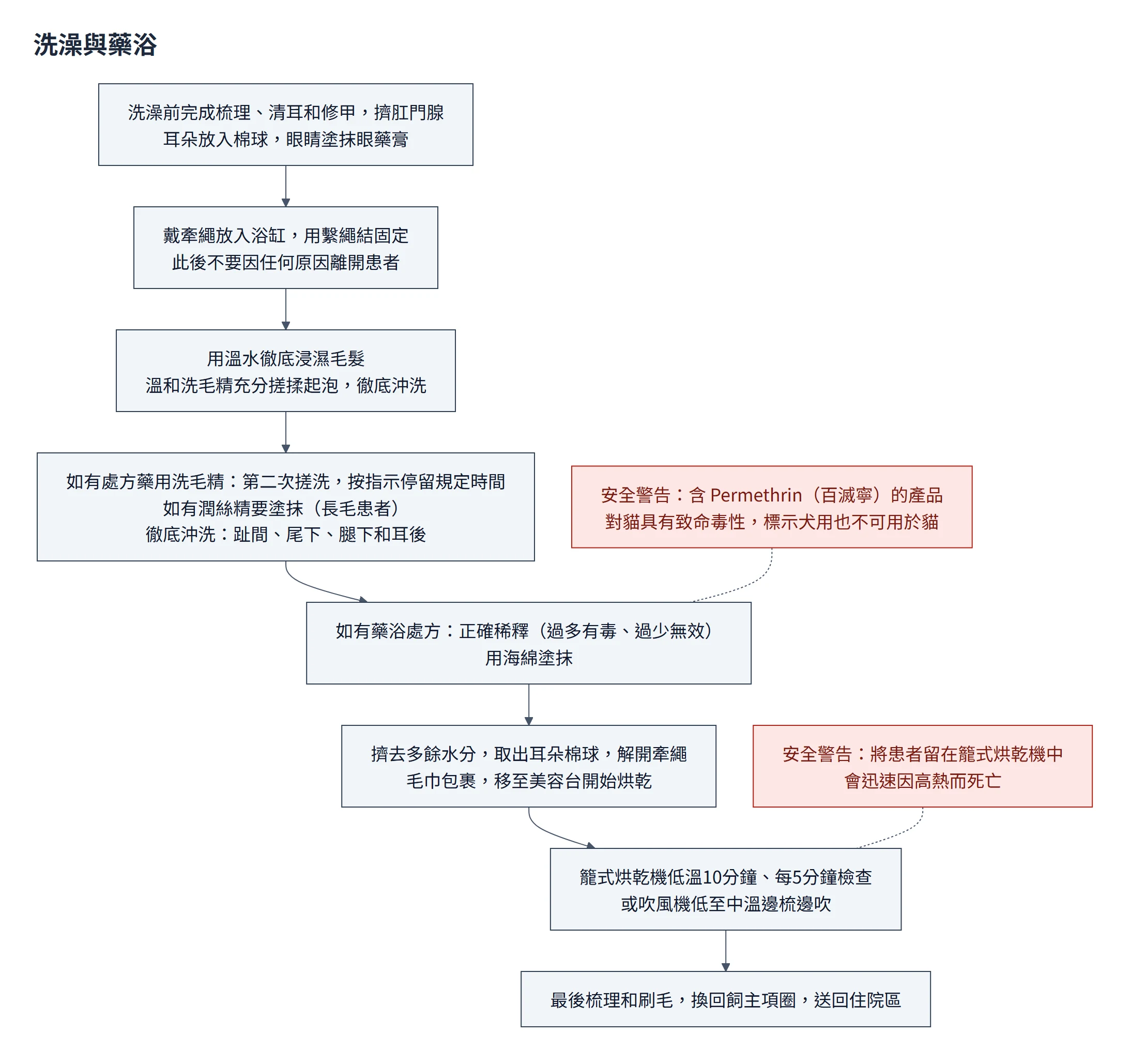 洗澡與藥浴流程圖：先梳理清耳修甲擠肛門腺、耳塞棉球、眼塗眼藥膏，牽繩固定不離開患者；浸濕、洗毛精、沖洗，依處方加藥用洗毛精與潤絲精、再依處方藥浴，最後烘乾梳理；兩則安全警告：Permethrin 對貓致命、不可把患者留在籠式烘乾機